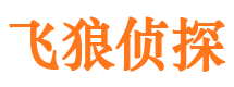 莘县寻人公司